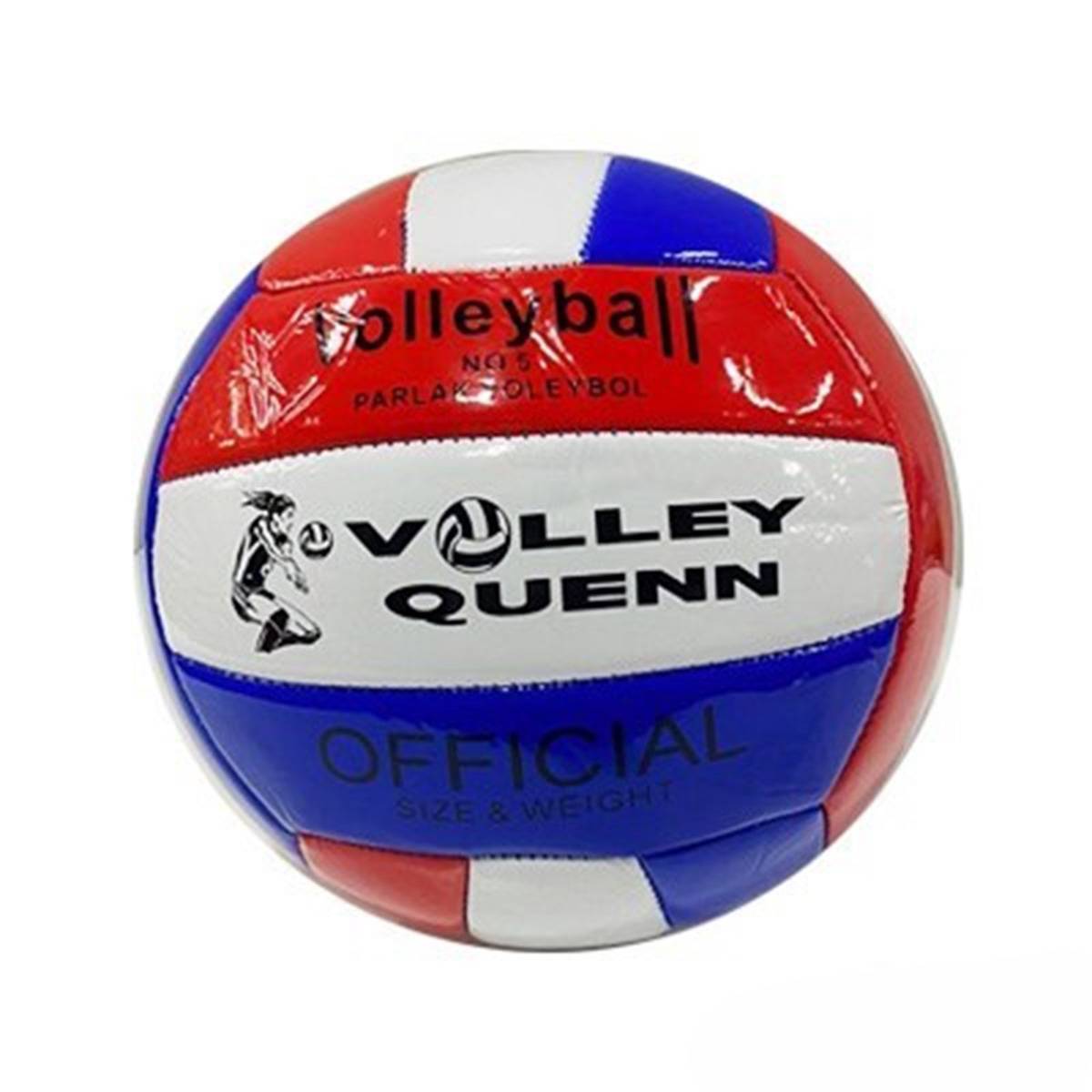 Voleybol Topu Dikişli Ekonomik BSF4444