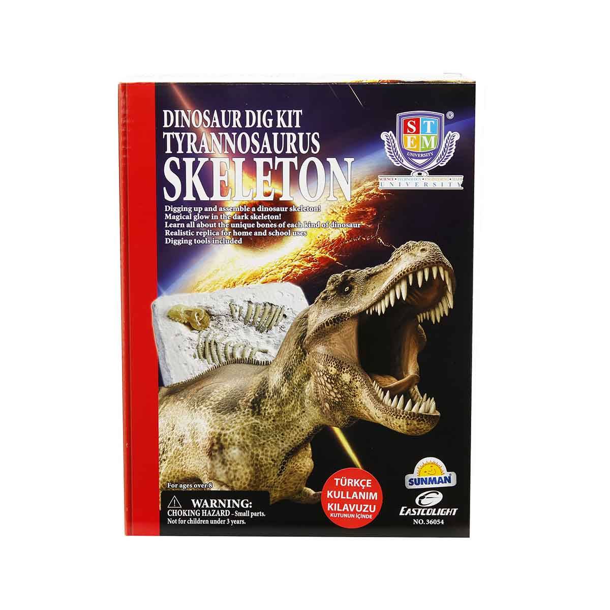 Dinozor Kazma Kiti Tyrannosaurus İskeleti